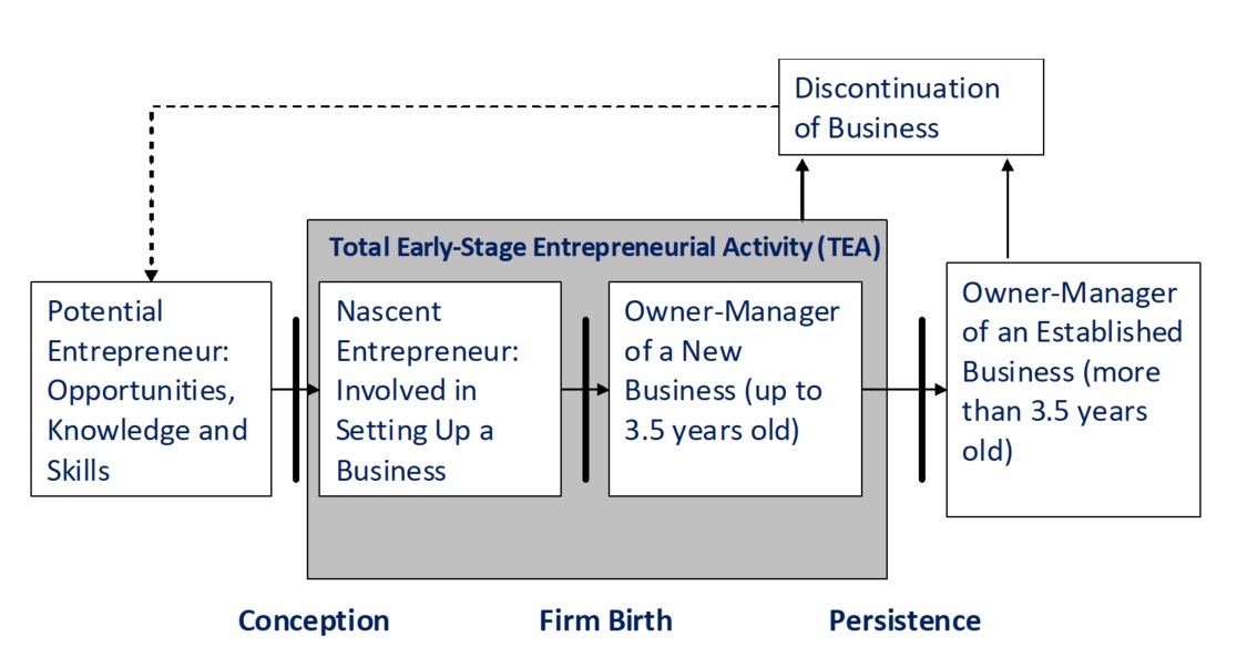 The Lifecycle of the Entrepreneurial Business: Wonder